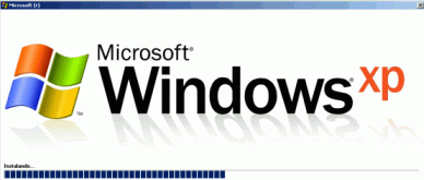 Muestra una pantalla de instalación falsa