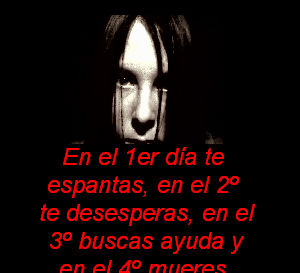 En esta �ltima versi�n, tambi�n es mostrada la siguiente imagen con el texto "En el 1er d�a te espantas, en el 2 te desesperas, en el 3 buscas ayuda y en el 4 mueres."